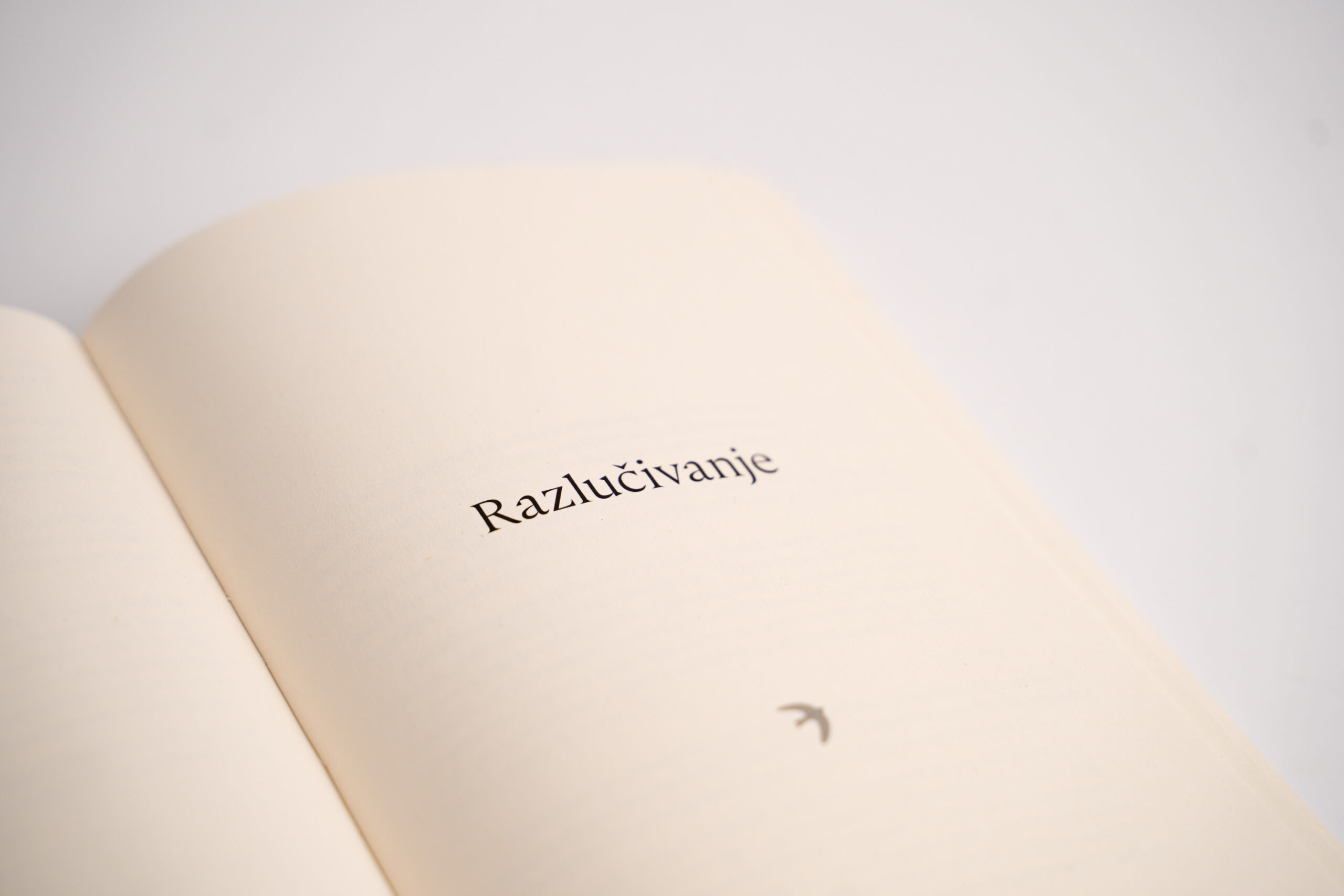 KARIZMA ZAJEDNIŠTVA